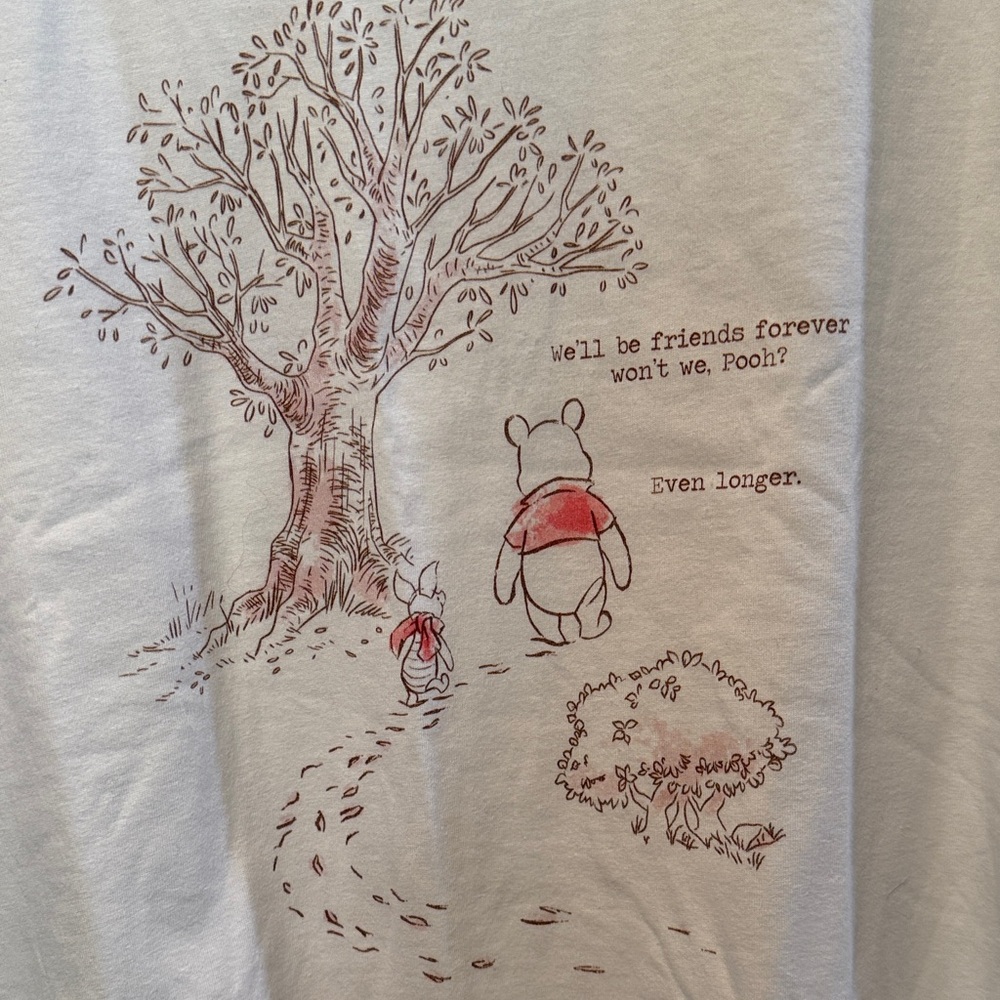 Disney Women's Pooh & Piglet Forever Friends Tee Size XL - Picture 5 of 5